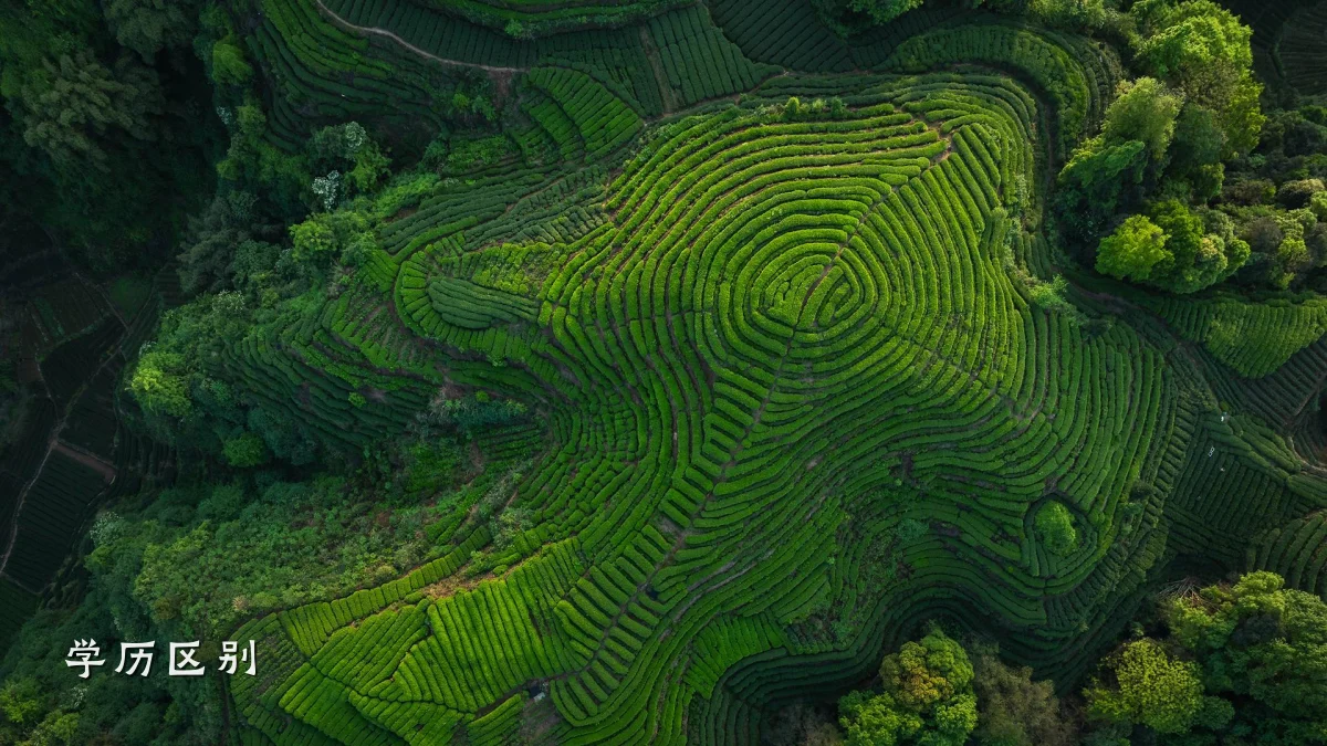 学历区别