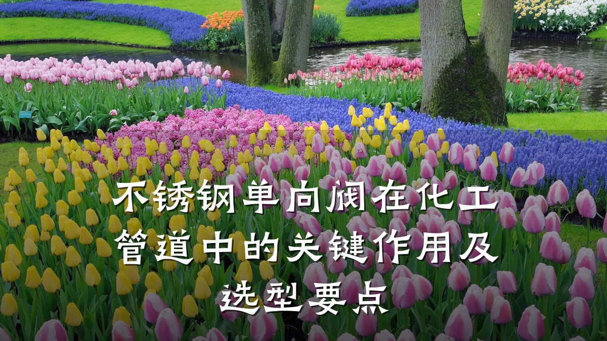 不锈钢单向阀在化工管道中的关键作用及选型要点