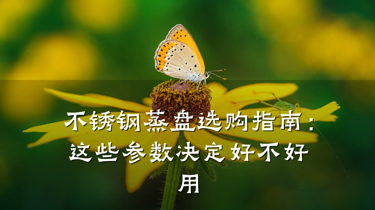 不锈钢蒸盘选购指南:这些参数决定好不好用