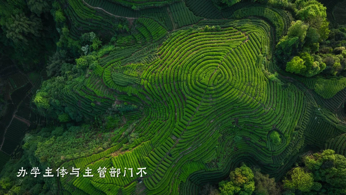 办学主体与主管部门不