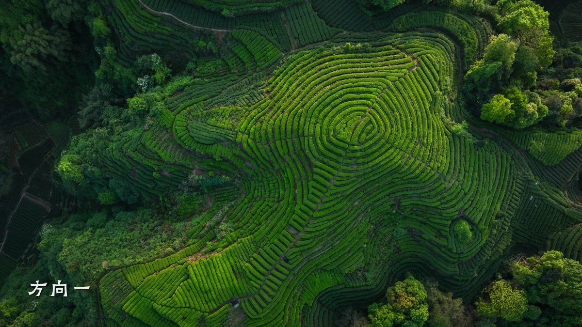 方向一