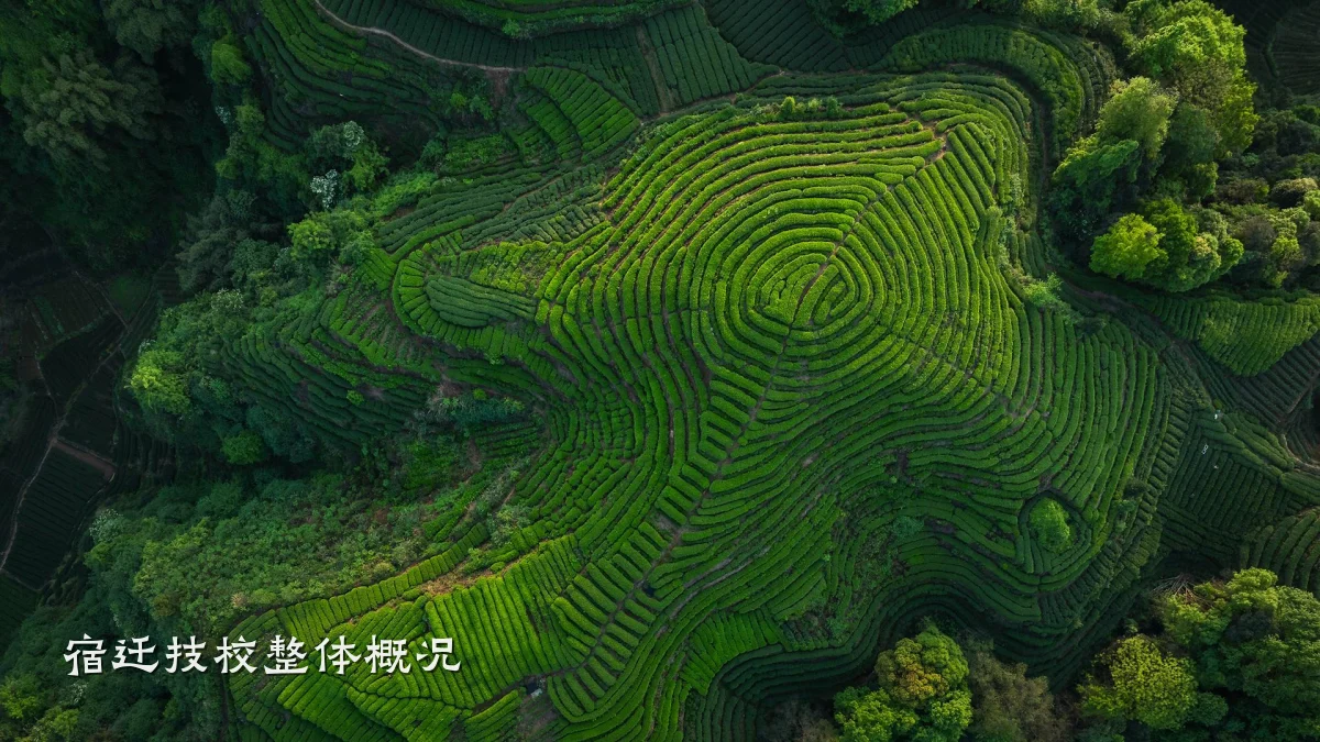 宿迁技校整体概况