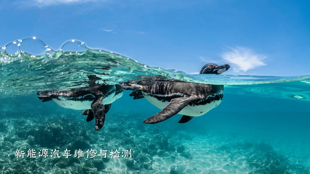 新能源汽车维修与检测