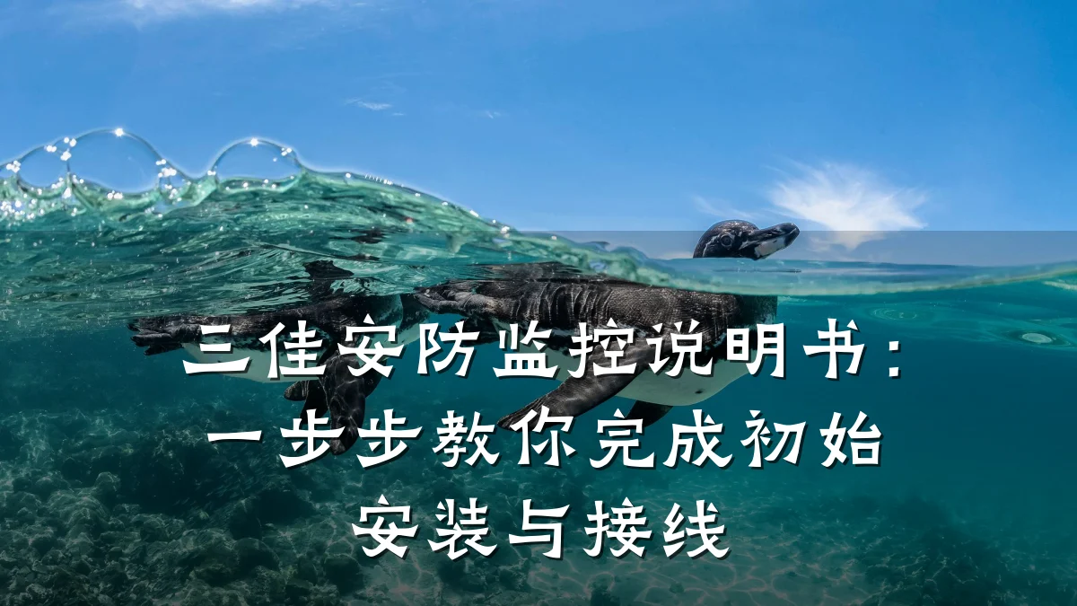 三佳安防监控说明书:一步步教你完成初始安装与接线