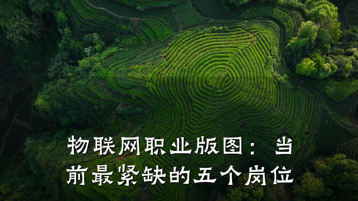 物联网职业版图:当前最紧缺的五个岗位