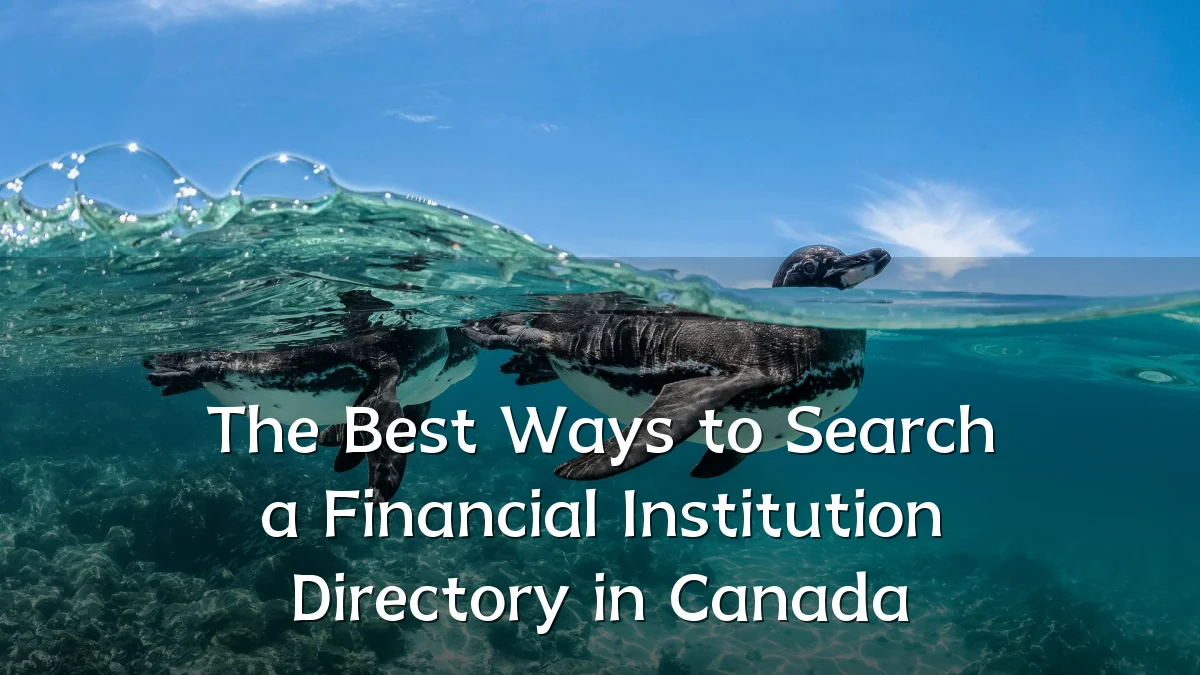 The Best Ways to Search a Financial Institution Directory in Canada