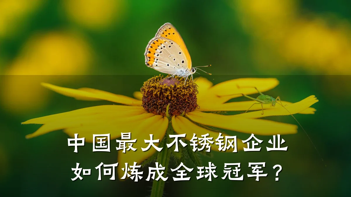 中国最大不锈钢企业如何炼成全球冠军?