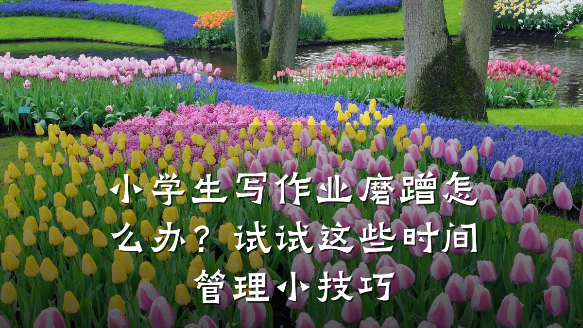 小学生写作业磨蹭怎么办？试试这些时间管理小技巧