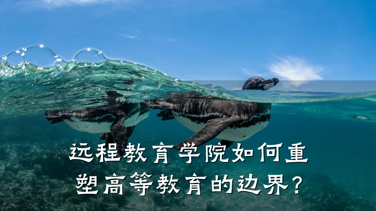 远程教育学院如何重塑高等教育的边界？