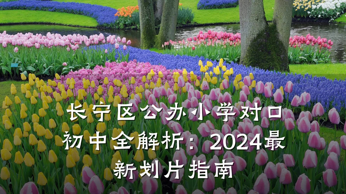 长宁区公办小学对口初中全解析:2024最新划片指南
