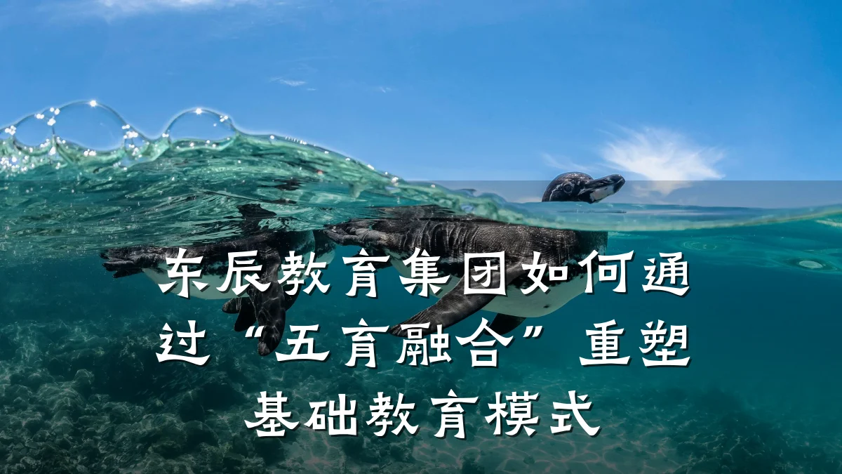 东辰教育集团如何通过“五育融合”重塑基础教育模式