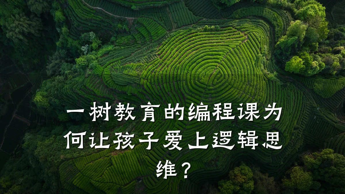 一树教育的编程课为何让孩子爱上逻辑思维？