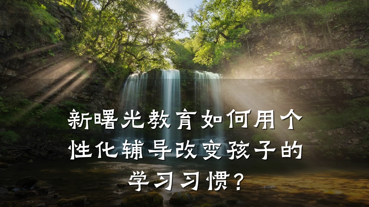 新曙光教育如何用个性化辅导改变孩子的学习习惯?
