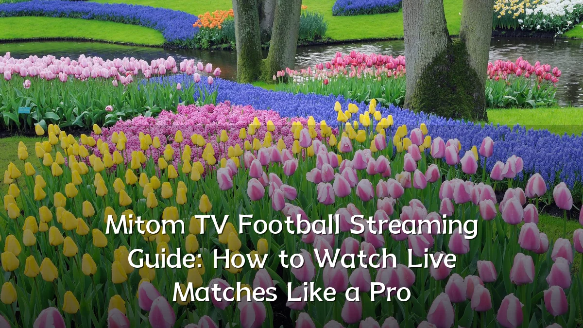 Mitom TV Football Streaming Guide: How to Watch Live Matches Like a Pro