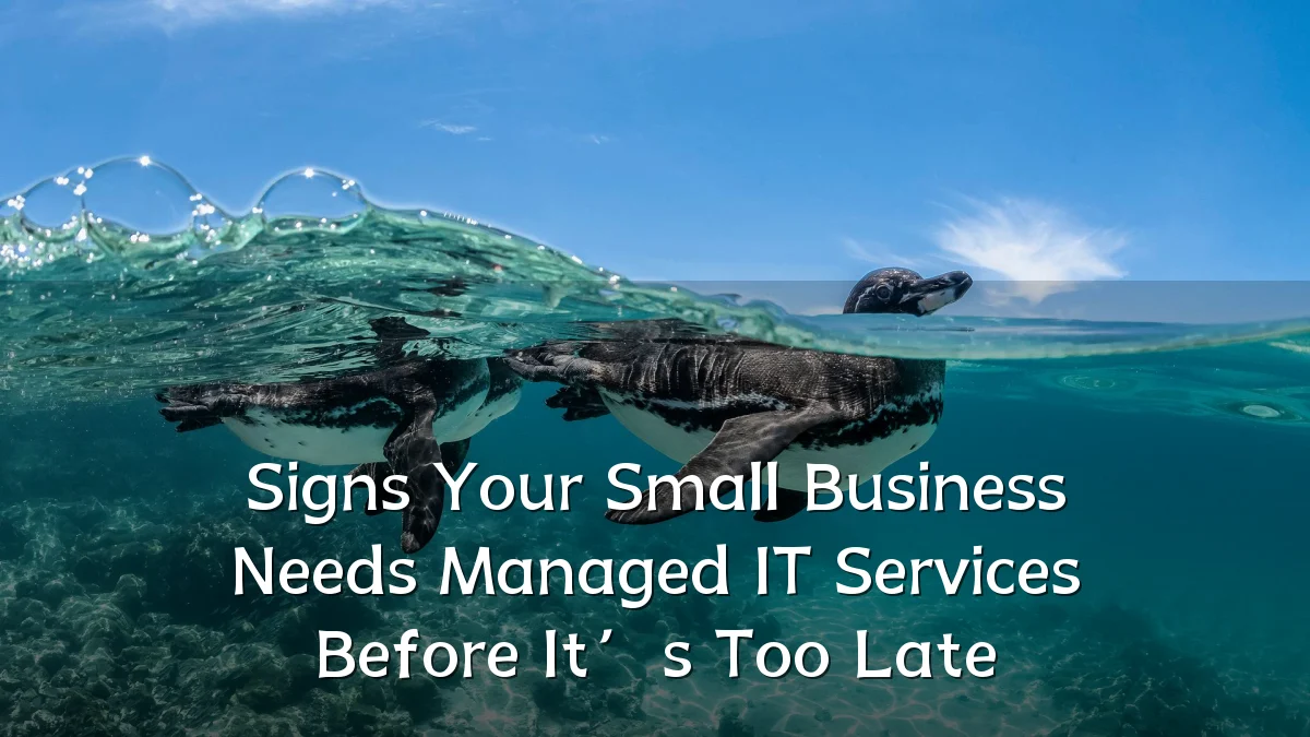 Signs Your Small Business Needs Managed IT Services Before It’s Too Late