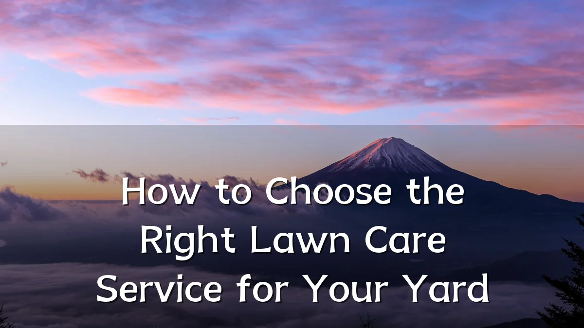 How to Choose the Right Lawn Care Service for Your Yard