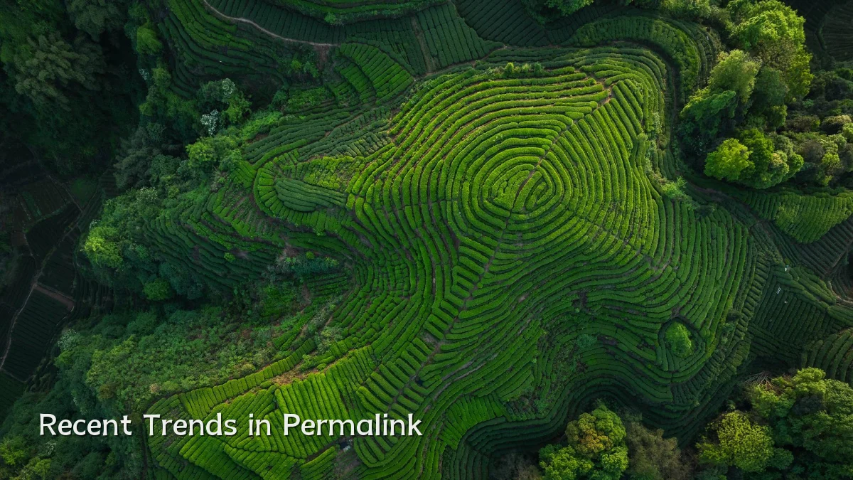 Recent Trends in Permalink