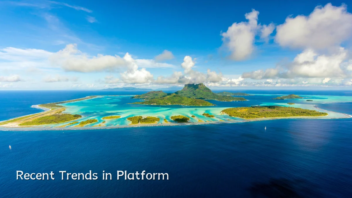 Recent Trends in Platform