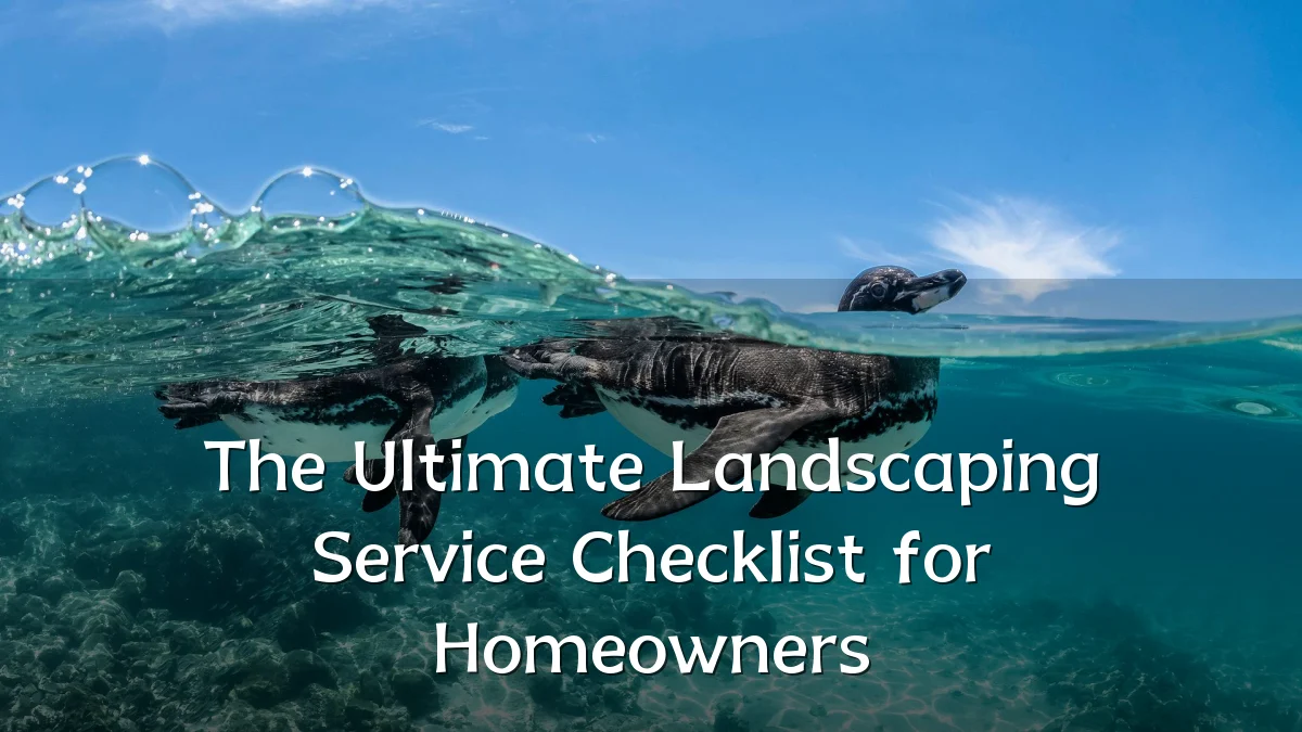 The Ultimate Landscaping Service Checklist for Homeowners